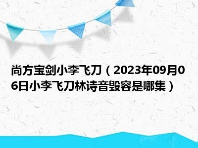 尚方宝剑小李飞刀（2023年09月06日小李飞刀林诗音毁容是哪集）