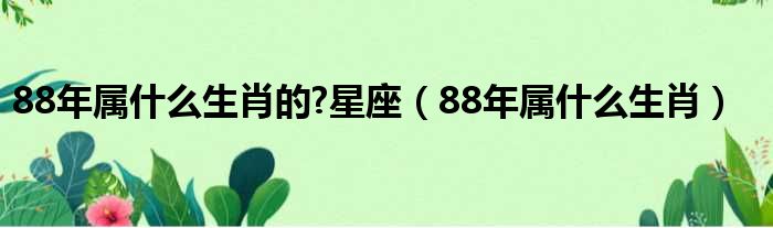 88年属什么生肖的 星座（88年属什么生肖）