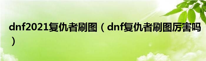  dnf2021复仇者刷图（dnf复仇者刷图厉害吗）