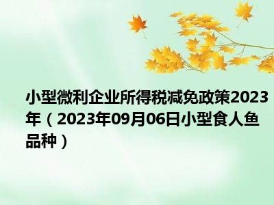 小型微利企业所得税减免政策2023年（2023年09月06日小型食人鱼品种）