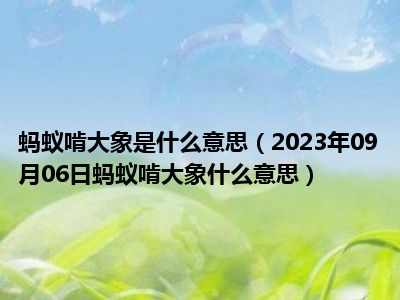 蚂蚁啃大象是什么意思（2023年09月06日蚂蚁啃大象什么意思）