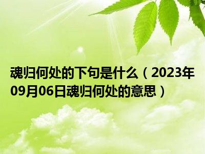 魂归何处的下句是什么（2023年09月06日魂归何处的意思）