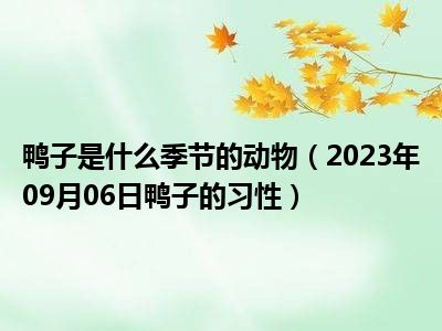 鸭子是什么季节的动物（2023年09月06日鸭子的习性）