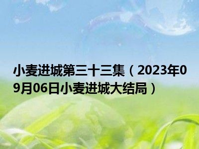 小麦进城第三十三集（2023年09月06日小麦进城大结局）