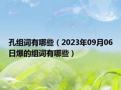 孔组词有哪些（2023年09月06日爆的组词有哪些）