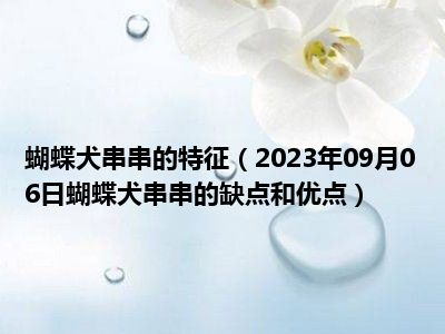 蝴蝶犬串串的特征（2023年09月06日蝴蝶犬串串的缺点和优点）