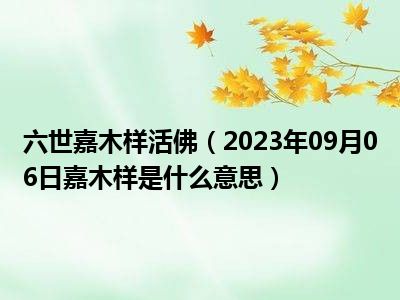 六世嘉木样活佛（2023年09月06日嘉木样是什么意思）