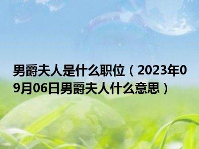 男爵夫人是什么职位（2023年09月06日男爵夫人什么意思）