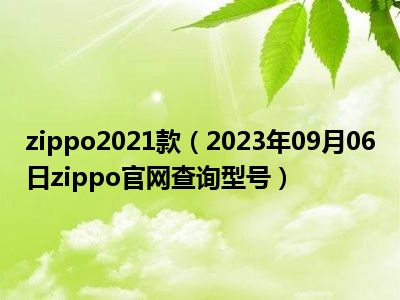 zippo2021款（2023年09月06日zippo官网查询型号）