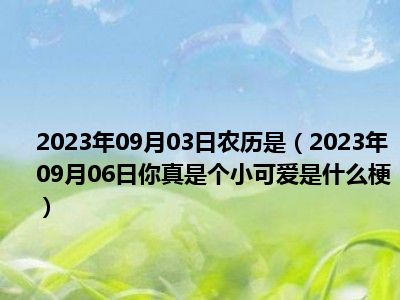 2023年09月03日农历是（2023年09月06日你真是个小可爱是什么梗）