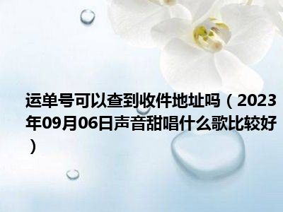 运单号可以查到收件地址吗（2023年09月06日声音甜唱什么歌比较好）