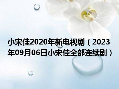 小宋佳2020年新电视剧（2023年09月06日小宋佳全部连续剧）