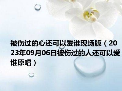 被伤过的心还可以爱谁现场版（2023年09月06日被伤过的人还可以爱谁原唱）