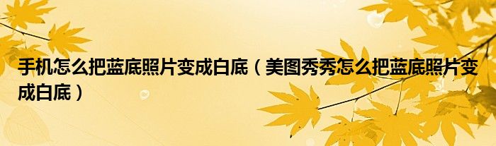  手机怎么把蓝底照片变成白底（美图秀秀怎么把蓝底照片变成白底）