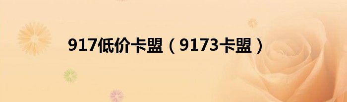  917低价卡盟（9173卡盟）