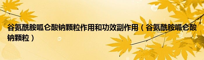  谷氨酰胺呱仑酸钠颗粒作用和功效副作用（谷氨酰胺呱仑酸钠颗粒）