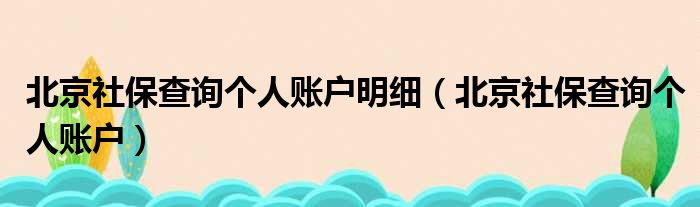 北京社保查询个人账户明细（北京社保查询个人账户）