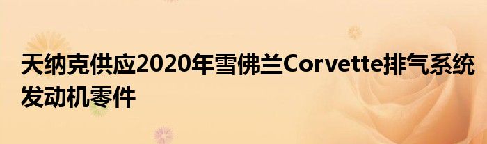 天纳克供应2020年雪佛兰Corvette排气系统发动机零件