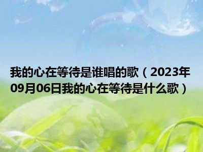 我的心在等待是谁唱的歌（2023年09月06日我的心在等待是什么歌）