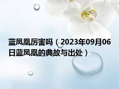 蓝凤凰厉害吗（2023年09月06日蓝凤凰的典故与出处）