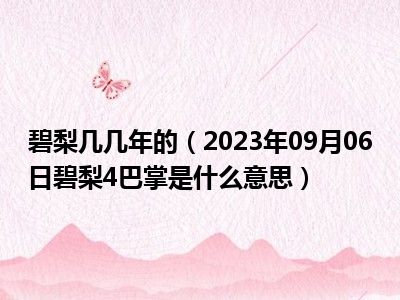 碧梨几几年的（2023年09月06日碧梨4巴掌是什么意思）