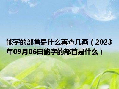 能字的部首是什么再查几画（2023年09月06日能字的部首是什么）