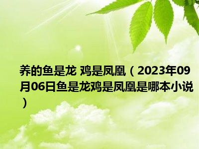 养的鱼是龙 鸡是凤凰（2023年09月06日鱼是龙鸡是凤凰是哪本小说）