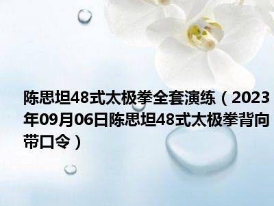 陈思坦48式太极拳全套演练（2023年09月06日陈思坦48式太极拳背向带口令）