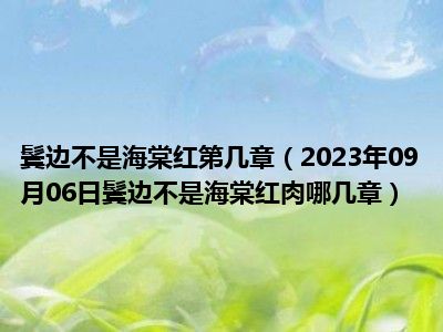 鬓边不是海棠红第几章（2023年09月06日鬓边不是海棠红肉哪几章）