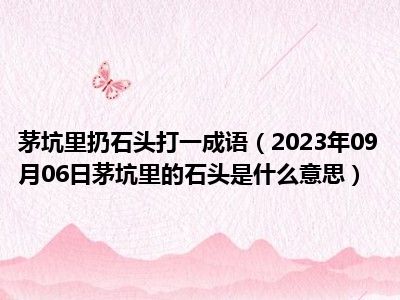 茅坑里扔石头打一成语（2023年09月06日茅坑里的石头是什么意思）