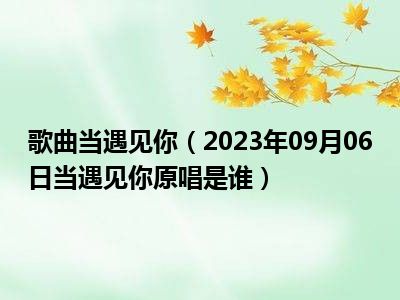 歌曲当遇见你（2023年09月06日当遇见你原唱是谁）