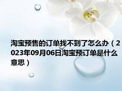 淘宝预售的订单找不到了怎么办（2023年09月06日淘宝预订单是什么意思）