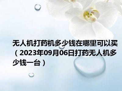 无人机打药机多少钱在哪里可以买（2023年09月06日打药无人机多少钱一台）