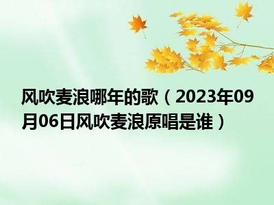 风吹麦浪哪年的歌（2023年09月06日风吹麦浪原唱是谁）