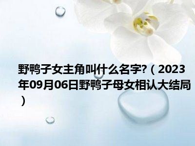 野鸭子女主角叫什么名字 （2023年09月06日野鸭子母女相认大结局）