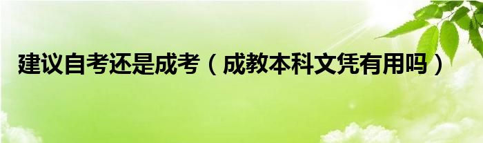  建议自考还是成考（成教本科文凭有用吗）