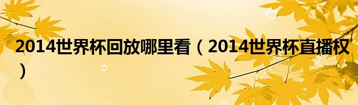  2014世界杯回放哪里看（2014世界杯直播权）