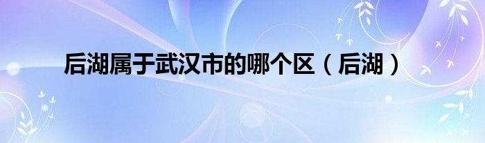  后湖属于武汉市的哪个区（后湖）