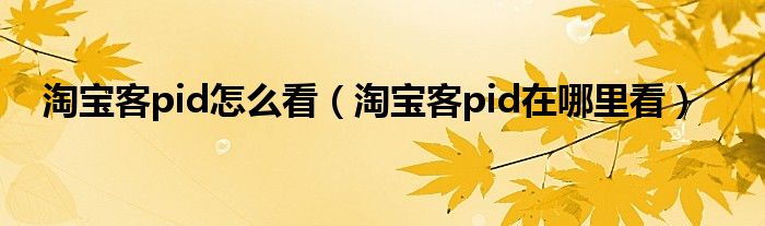  淘宝客pid怎么看（淘宝客pid在哪里看）