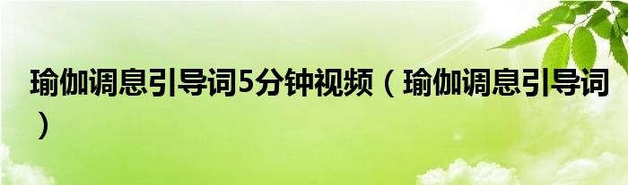  瑜伽调息引导词5分钟视频（瑜伽调息引导词）