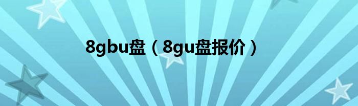  8gbu盘（8gu盘报价）