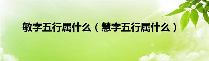  敏字五行属什么（慧字五行属什么）