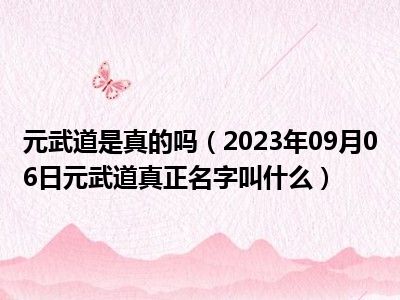 元武道是真的吗（2023年09月06日元武道真正名字叫什么）