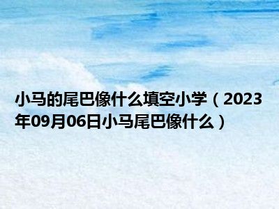 小马的尾巴像什么填空小学（2023年09月06日小马尾巴像什么）