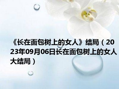 《长在面包树上的女人》结局（2023年09月06日长在面包树上的女人大结局）