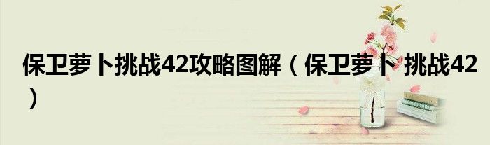 保卫萝卜挑战42攻略图解（保卫萝卜 挑战42）