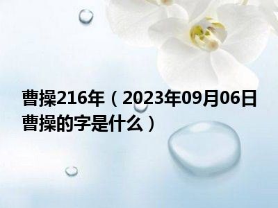 曹操216年（2023年09月06日曹操的字是什么）