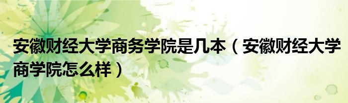  安徽财经大学商务学院是几本（安徽财经大学商学院怎么样）