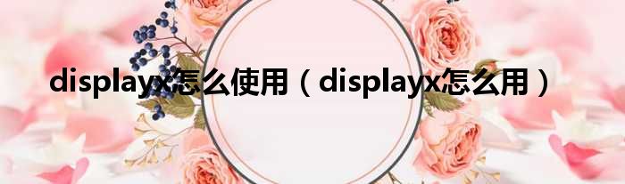 displayx怎么使用（displayx怎么用）