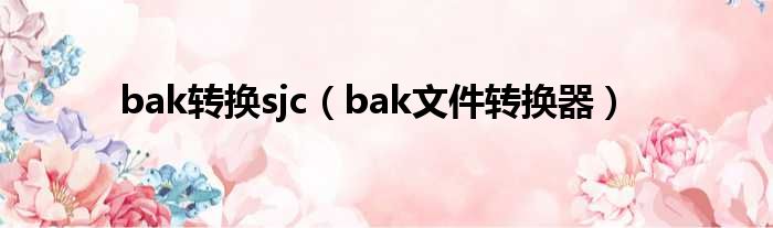 bak转换sjc（bak文件转换器）